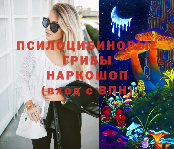 герыч Алексин