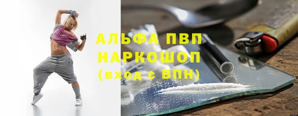 apvp Алзамай