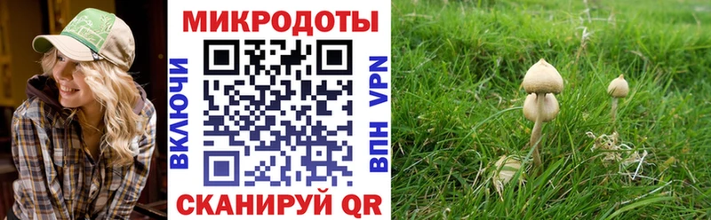 Галлюциногенные грибы Cubensis  где можно купить наркотик  Салехард 